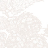 Bogotá Beer Company La Bodega Calle 80 drink