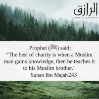 Gecko Café Grill menu