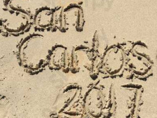 Los Arbolitos De Cajeme