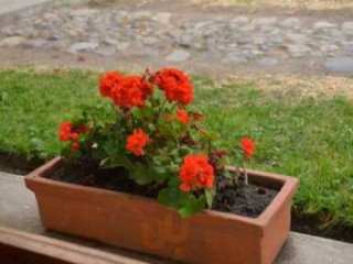 Pizzería El Hornero