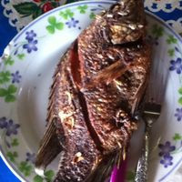 Garita Internacional Viva Mexico